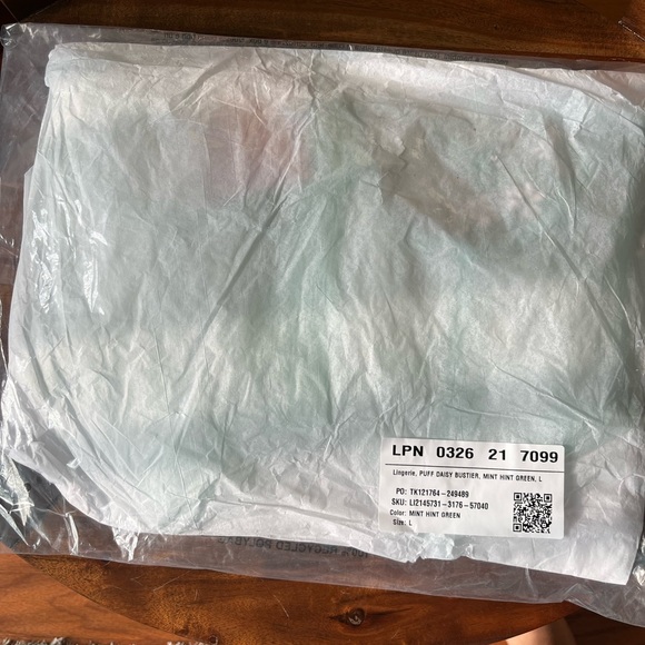 Savage X Fenty Mint Hint Green Puff Daisy Bustier Set with String Bikini Panty - Picture 9 of 15